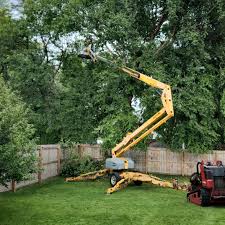 Best Tree Trimming and Pruning  in Massapequa, NY